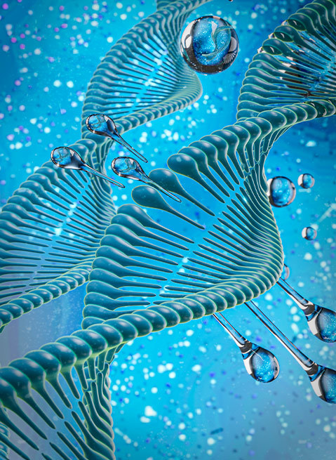  冬阳生物
